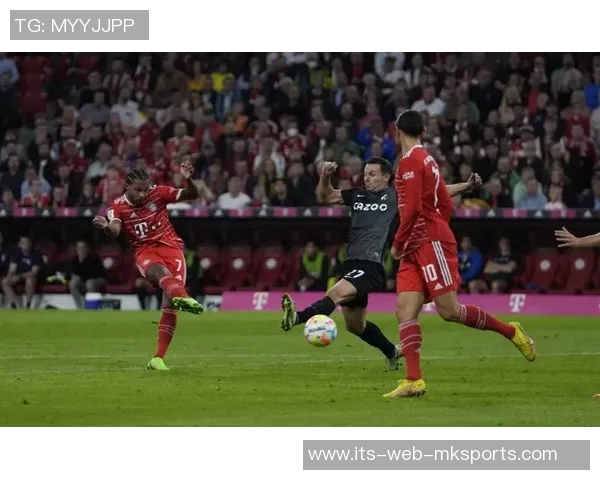 德甲数据分析揭示球队表现与球员状态的深度关联与趋势探讨